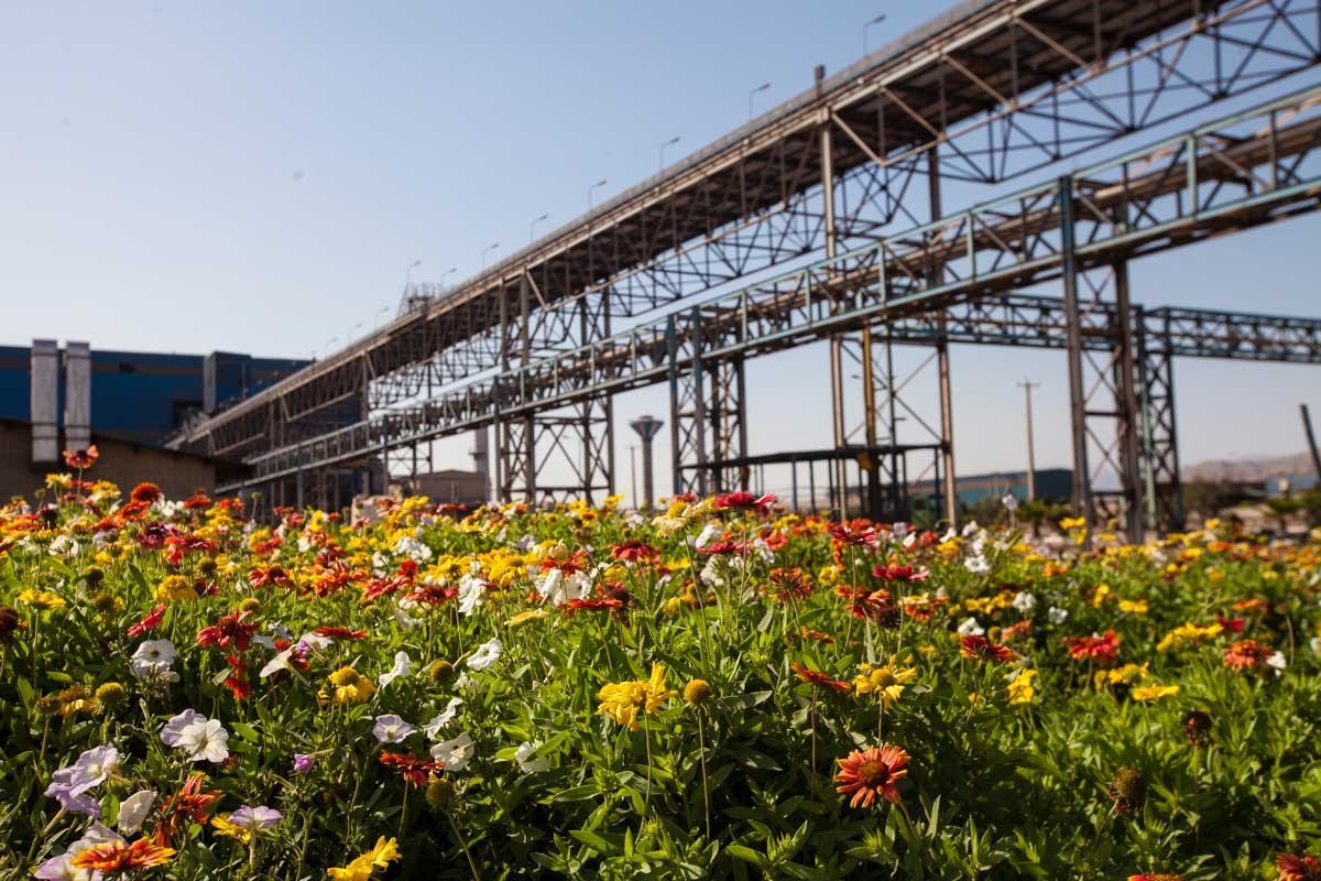 The-best-spring-of-Arfa-Iron-and-Steel