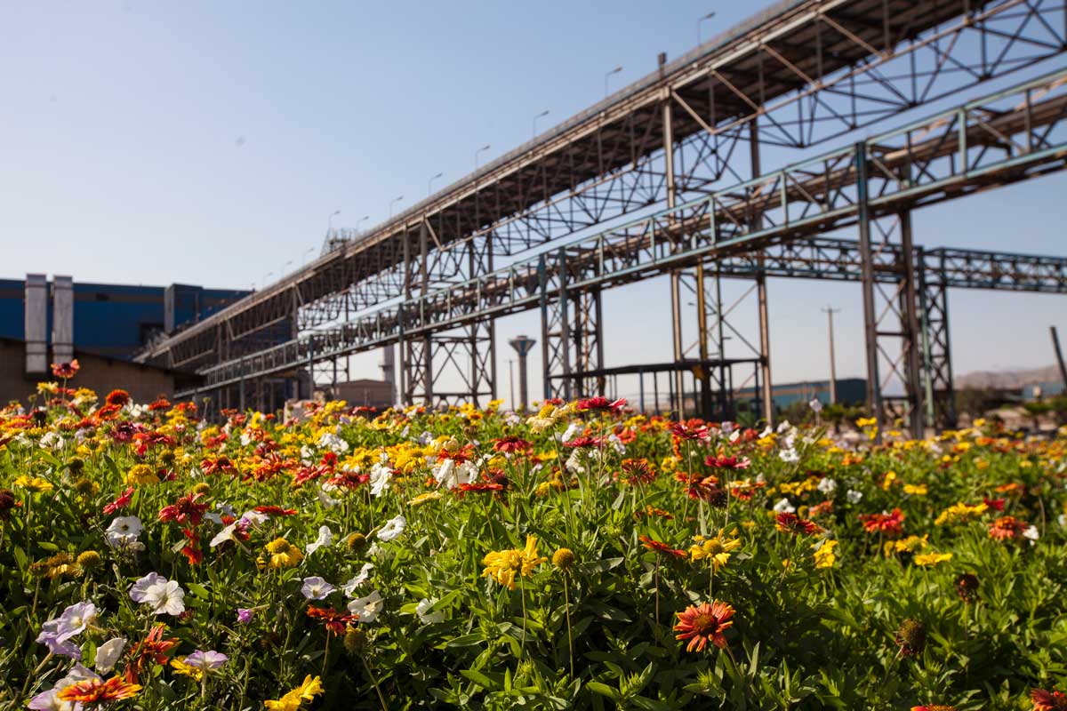 The-best-spring-of-Arfa-Iron-and-Steel